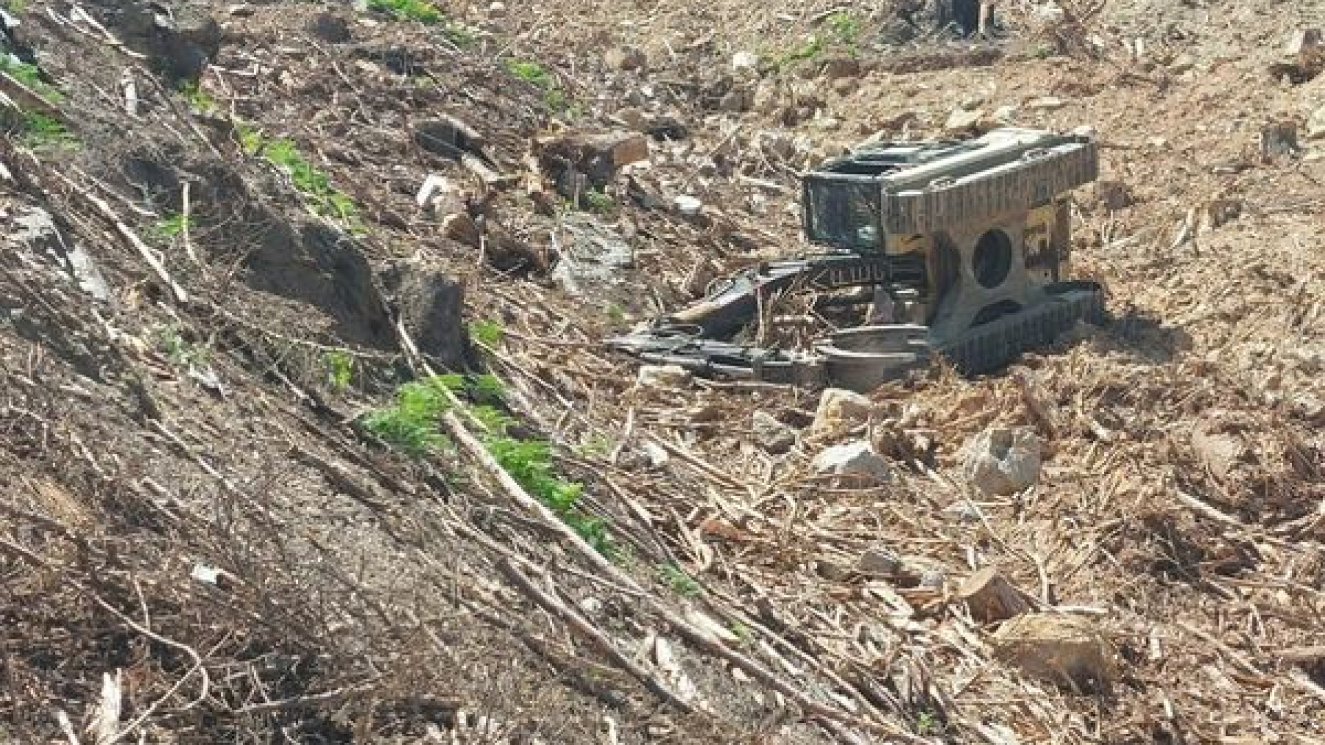 Antalya'da İş Makinesi Devrildi: Operatör Hayatını Kaybetti