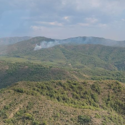 Marmaris’te orman yangını!