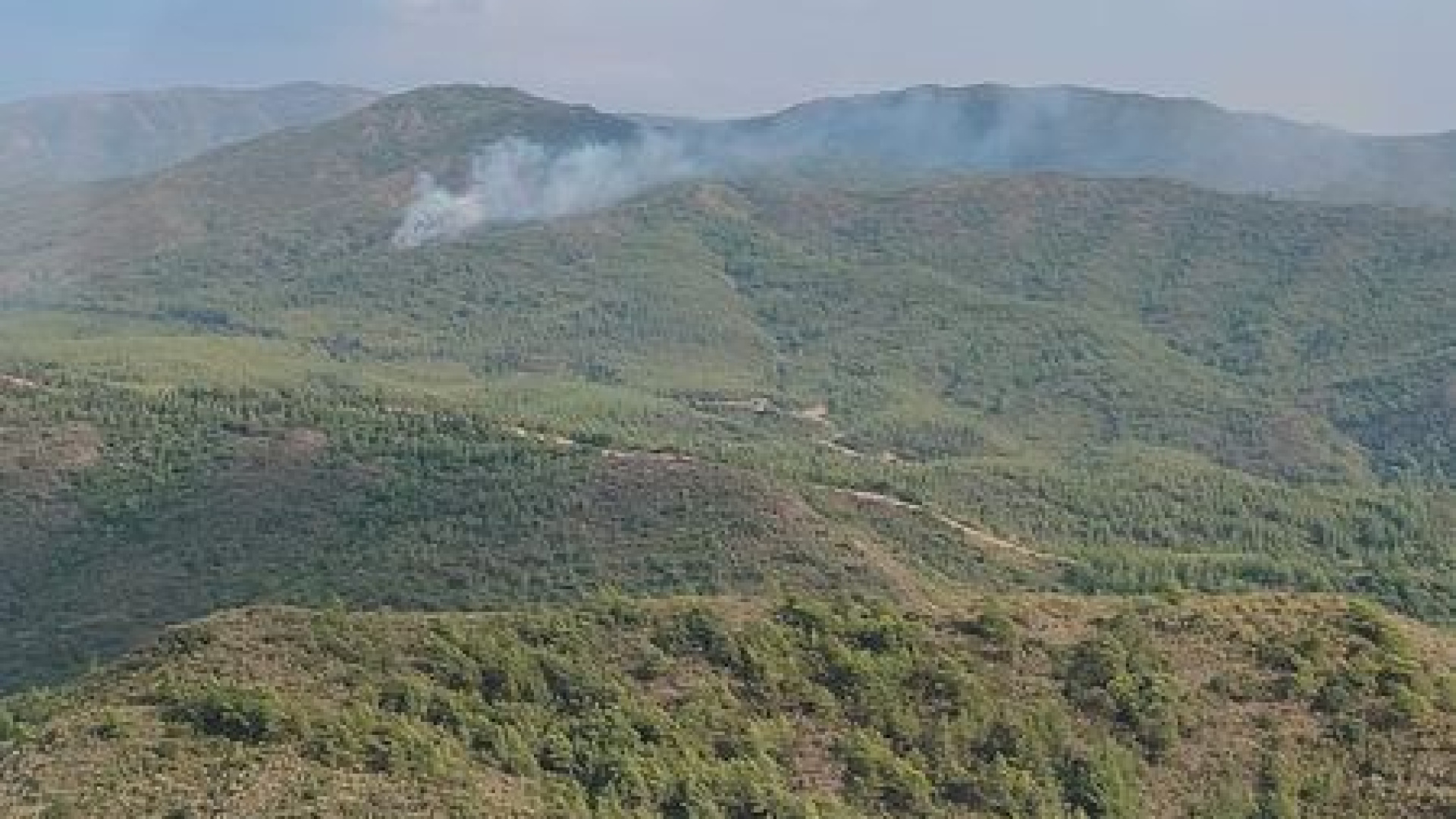 Marmaris'te yıldırım kaynaklı orman yangını: Ekipler müdahale ediyor