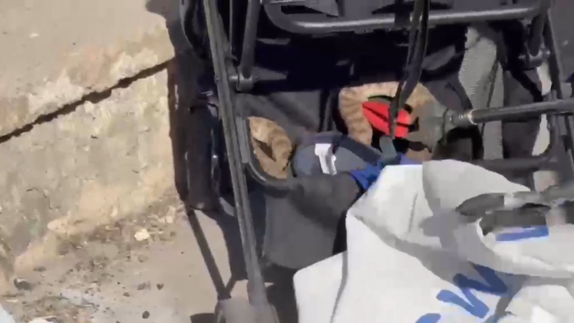 Şanlıurfa'da ağaçtan bebek arabasına düşen yılan itfaiye tarafından kurtarıldı