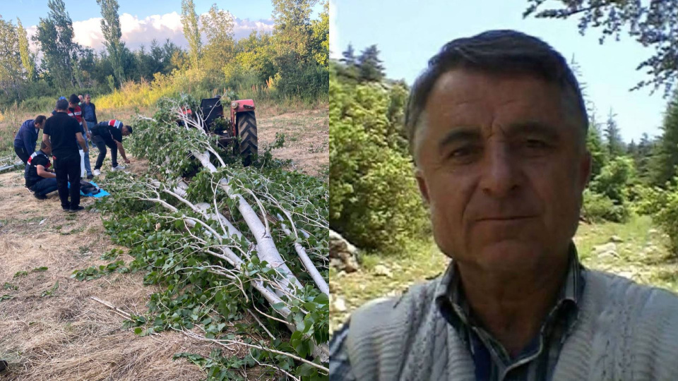 Kestiği ağacın altında can verdi