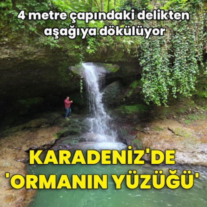 Artvin'de 'Ormanın Yüzüğü'