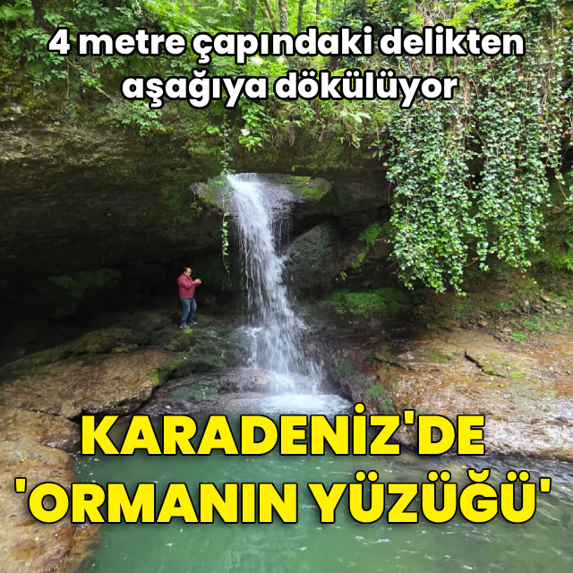 Artvin'de 'Ormanın Yüzüğü'