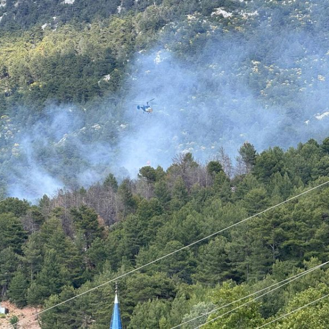 Antalya'da orman yangını!
