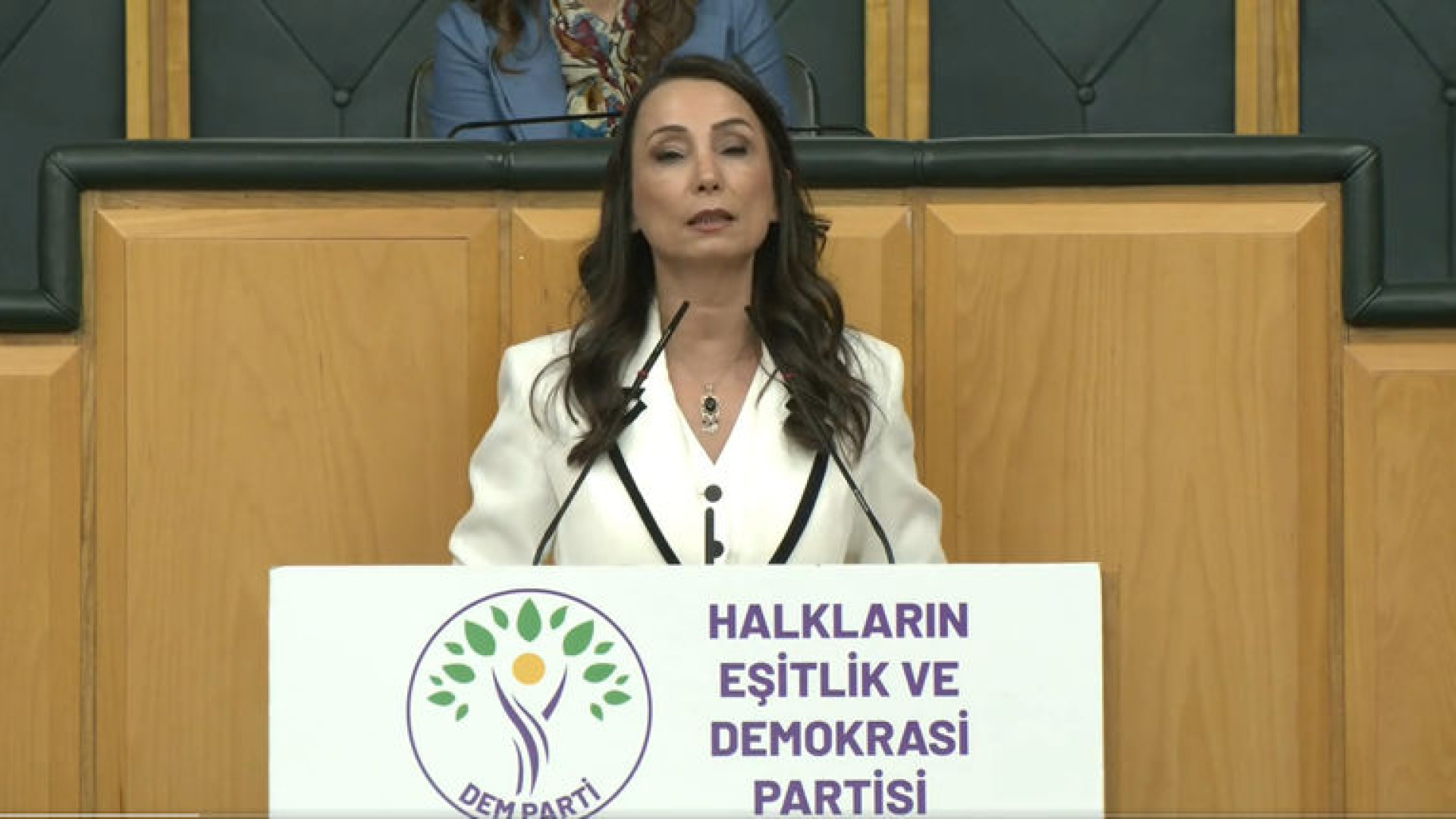 DEM Partili Hatimoğulları: Çerçeve yasanın acilen çıkması lazım