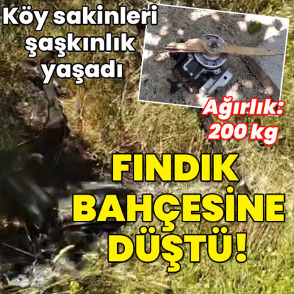 Köy sakinleri şaşkınlık yaşadı... Fındık bahçesine düştü!