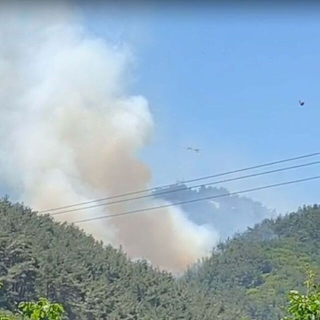 İlçeye yakın ormanda yangın!
