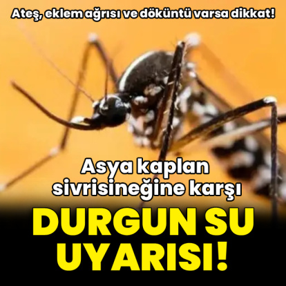 Asya kaplan sivrisineğine karşı durgun su uyarısı!