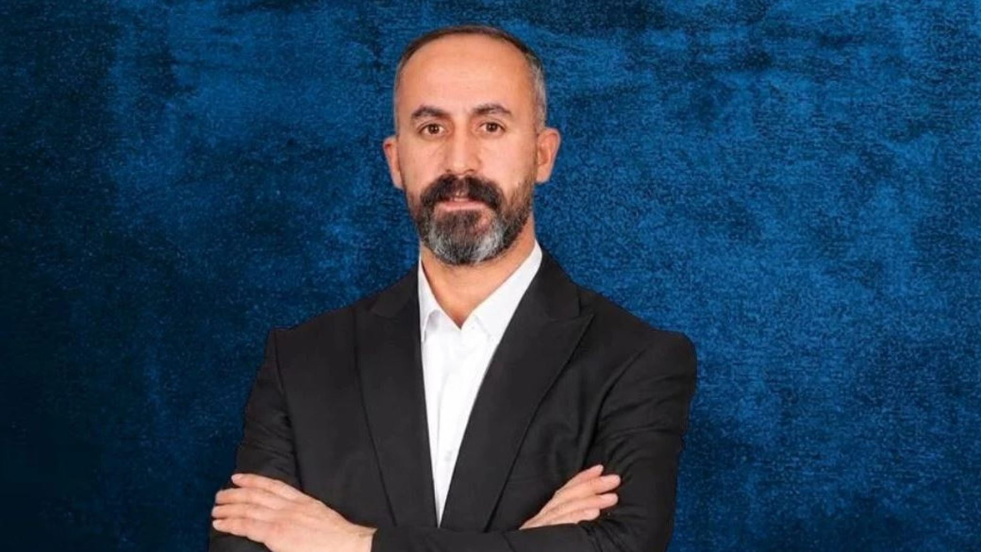 Van'da köpek saldırısı: Belediye başkanı hakkında soruşturma izni