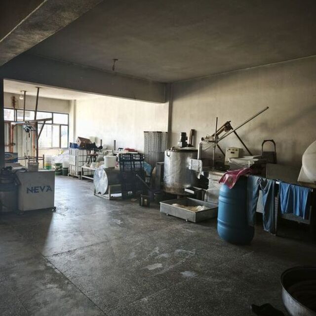9 ton bozuk süt ve süt ürünü ele geçirildi