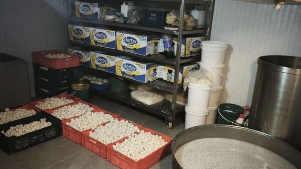 9 ton bozuk süt ve süt ürünü ele geçirildi