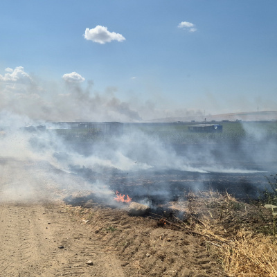 Tekirdağ'daki yangın söndürüldü