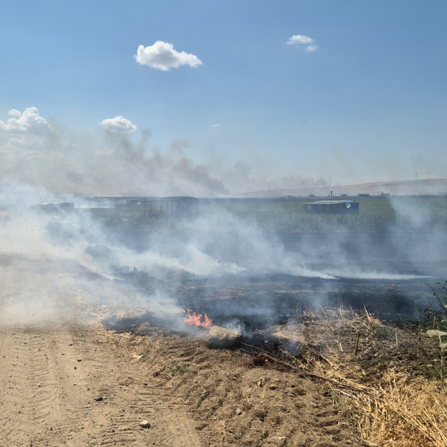 Tekirdağ'daki yangın söndürüldü