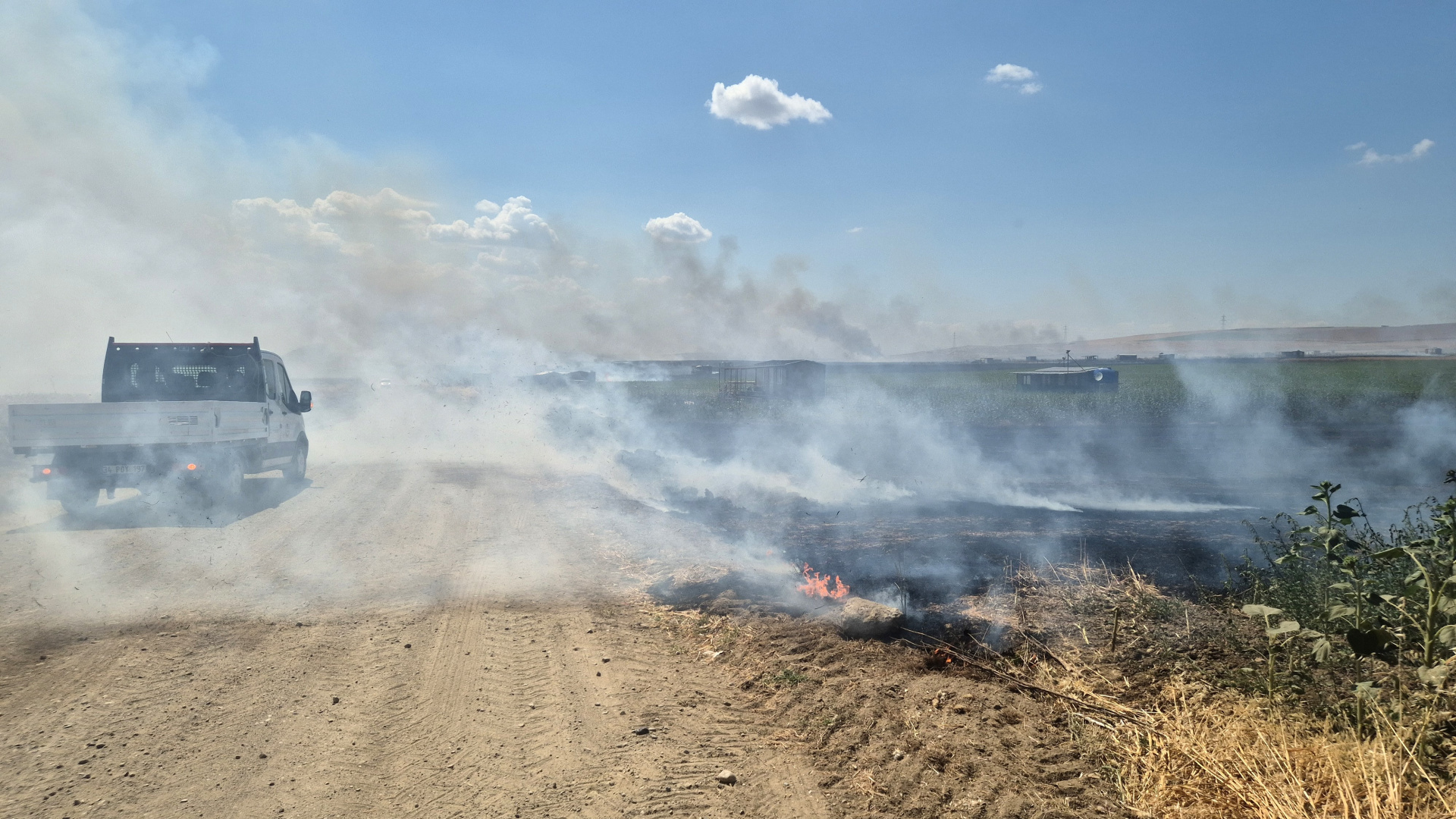 Tekirdağ'da Buğday Tarlasında Yangın: 90 Dekar Zarar