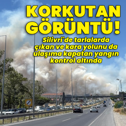 Silivri'de tarlalarda yangın çıktı!