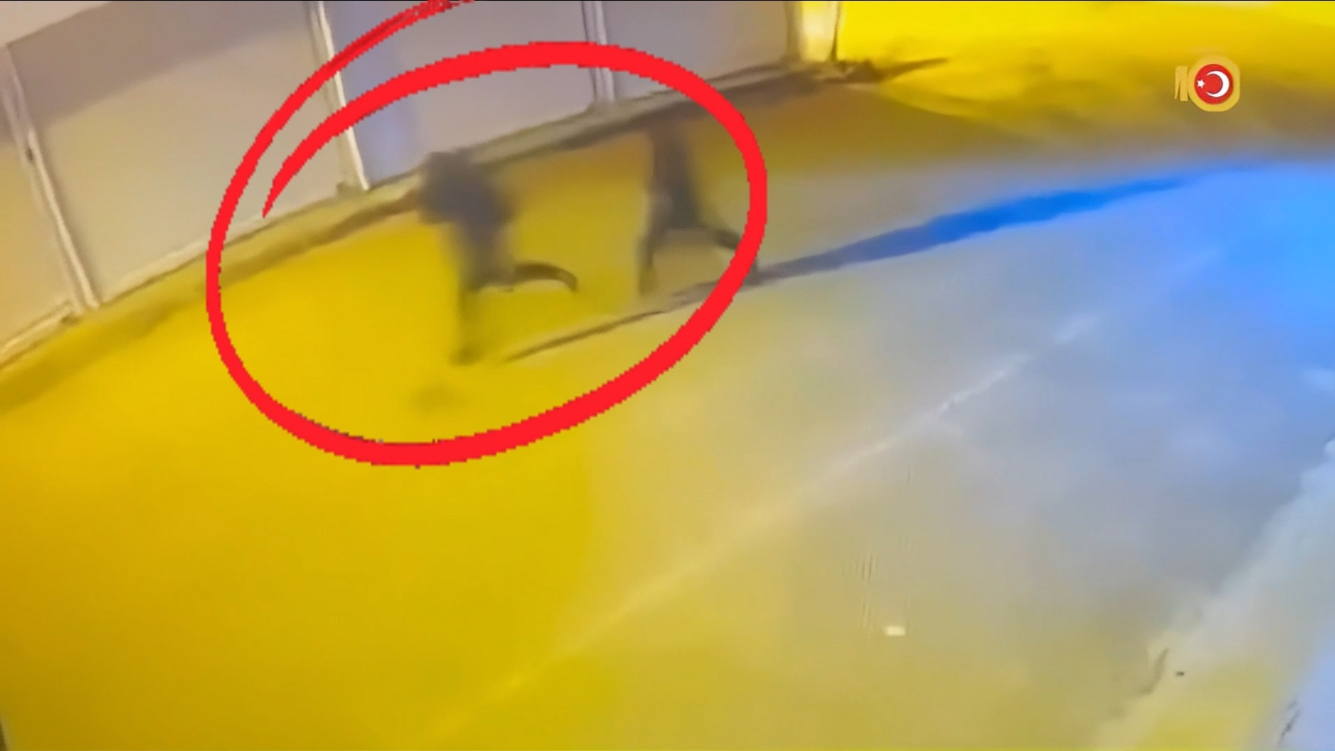 Diyarbakır'da çıkar amaçlı silahlı suç örgütüne operasyon: 15 tutuklama