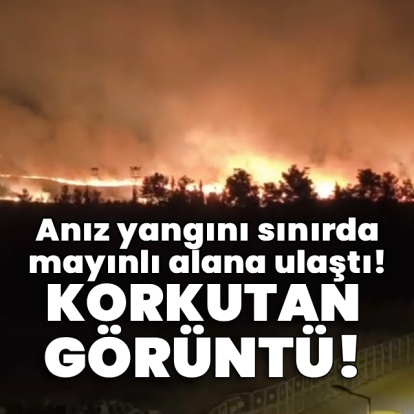 Anız yangını mayınlı alana ulaştı!