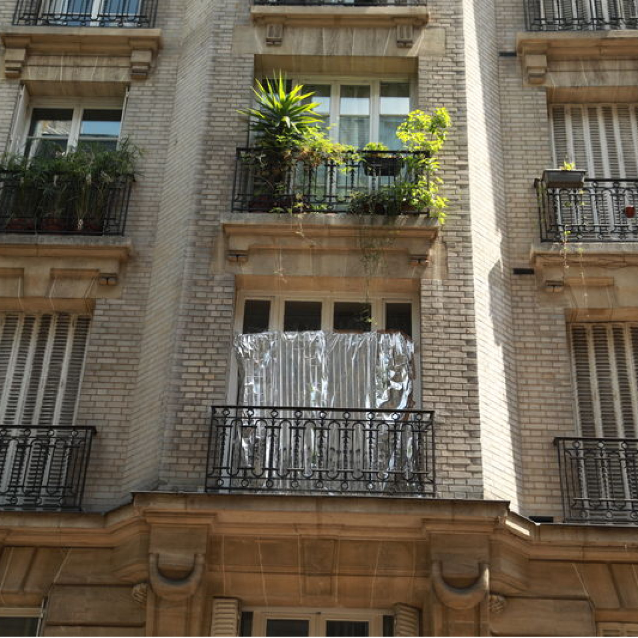 Paris sokaklarında garip manzara!