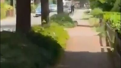Almanya'da silahlı saldırı: 5 ölü