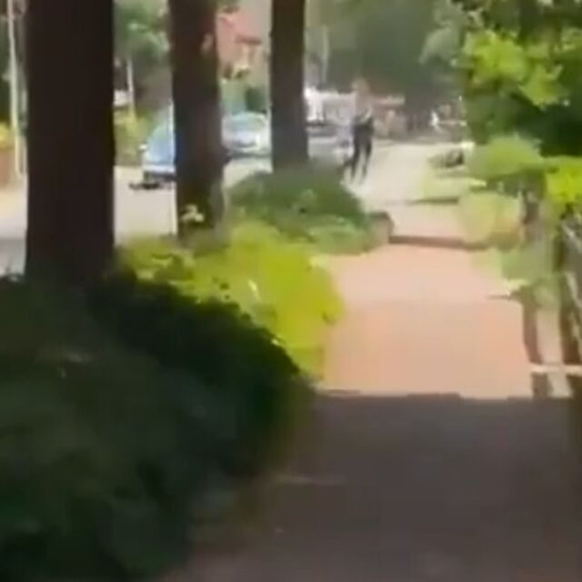 Almanya'da silahlı saldırı: 5 ölü