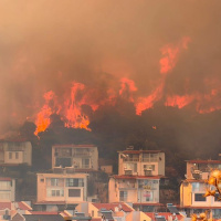 İzmir'de korkutan yangın!