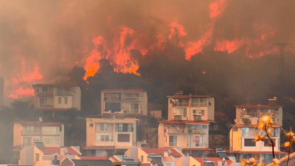 İzmir'de korkutan yangın!