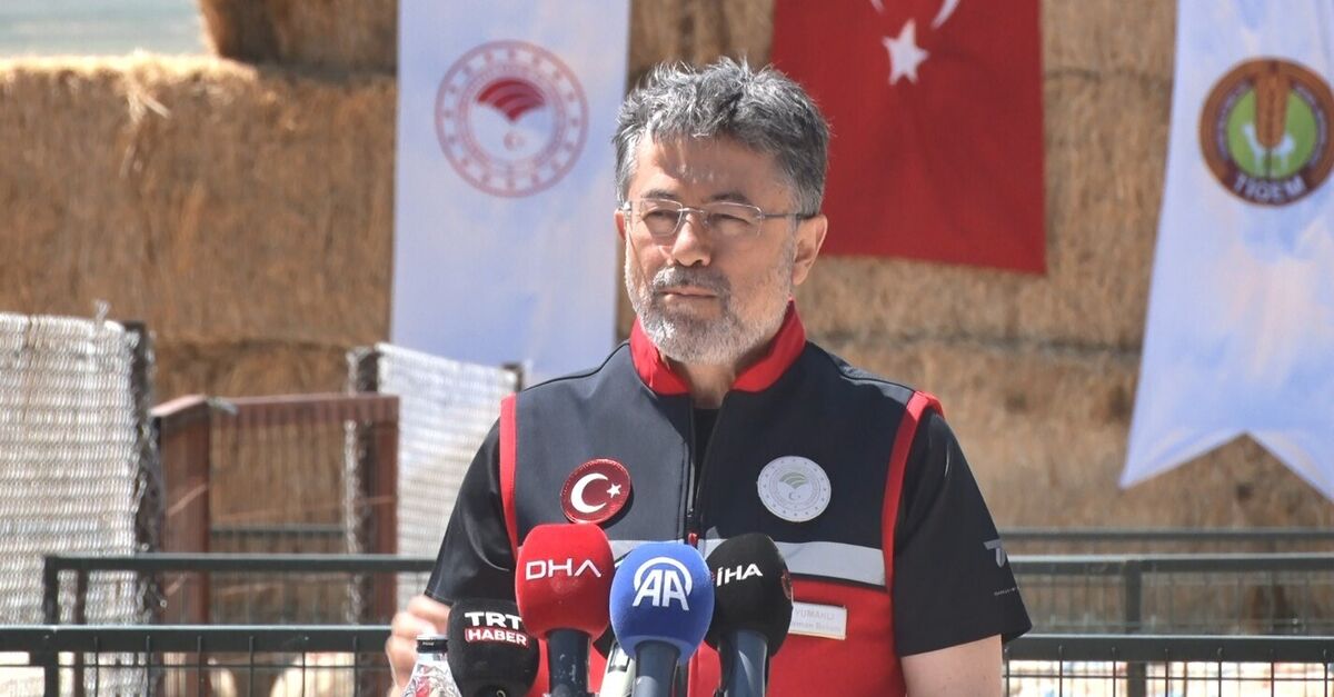 160 bin küçükbaş hayvan verilecek