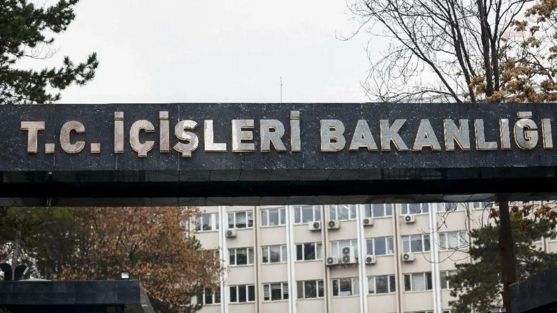 2 belediye başkanı hakkında sahipsiz sokak hayvanları soruşturması