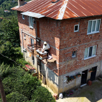 Karadeniz zekası ayıya karşı!