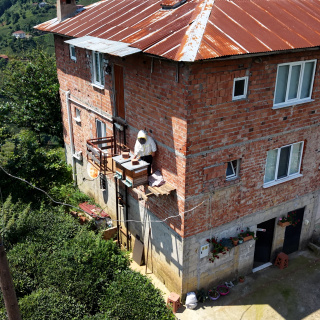 Karadeniz zekası ayıya karşı!