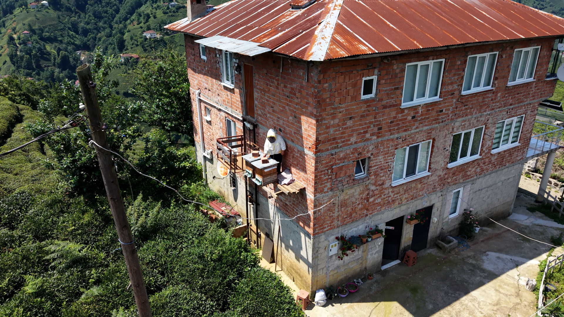 Karadeniz Zekası: Arı Kovanlarına Ayıya Karşı Asansörlü Önlem