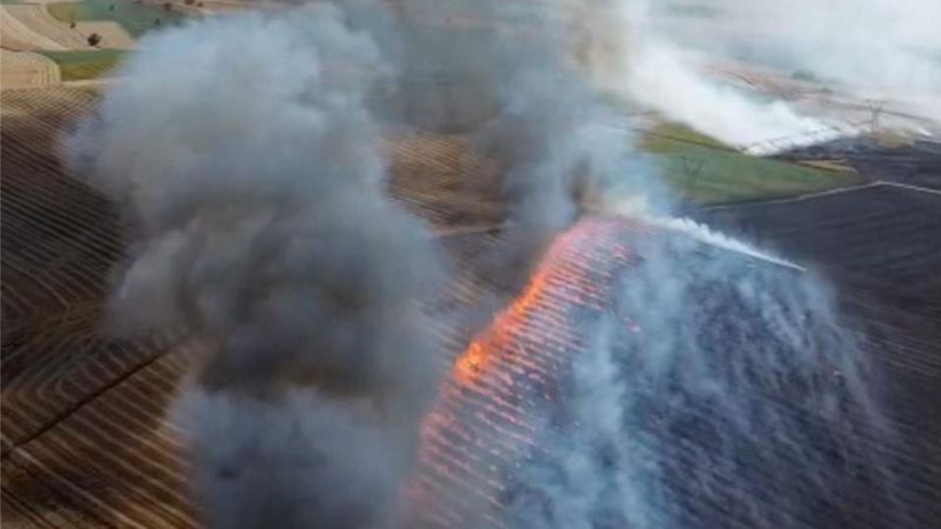 Tekirdağ'da yangın: 300 dekar tarım alanı kül oldu