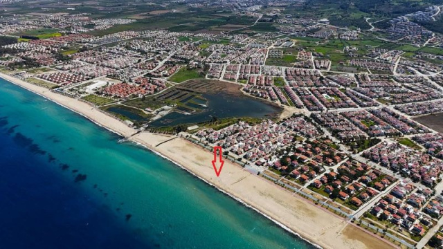 Kuşadası'nda ilk yuva tespit edildi