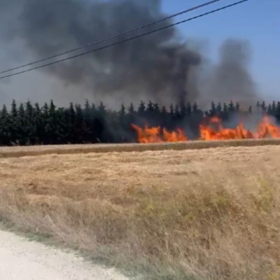 Silivri'de direk kesiminde tarlalar yandı