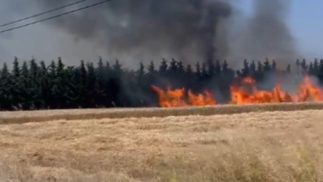 Silivri'de direk kesiminde tarlalar yandı