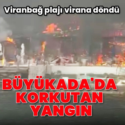 Büyükada'da korkutan yangın