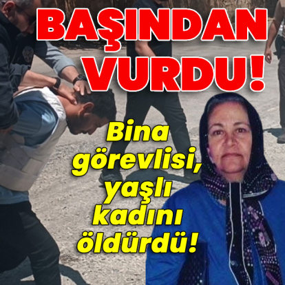 Bina görevlisi, yaşlı kadını öldürdü! Korkunç cinayet!