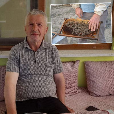 Bir anda saldırdılar... Kendi arıları öldürdü!