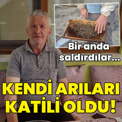 Bir anda saldırdılar... Kendi arıları öldürdü!