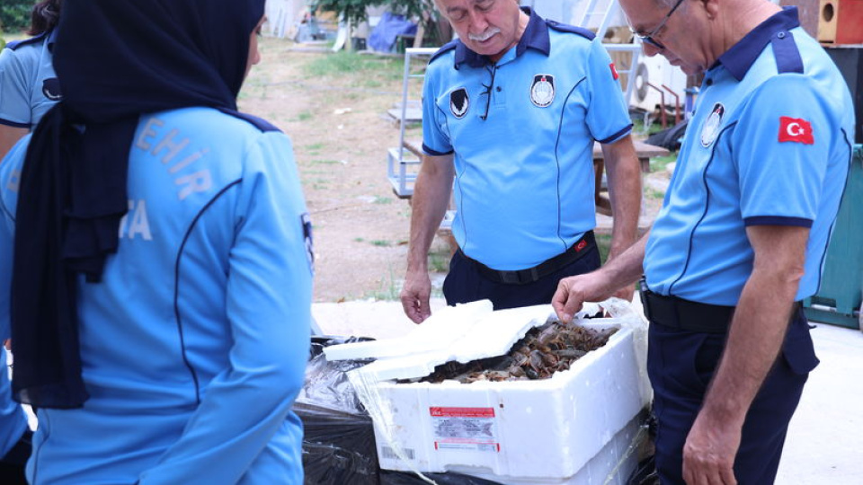 Antalya'da koliler içinde bulundu