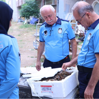 Antalya'da koliler içinde bulundu