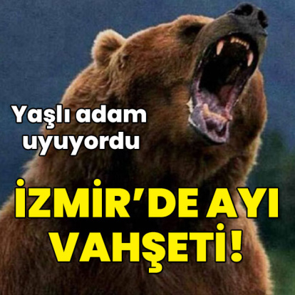 Yaşlı adam uyuyordu... İzmir'de ayı vahşeti!