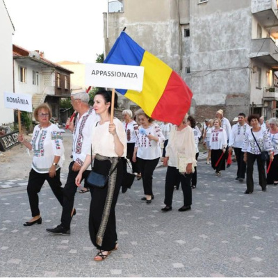 Ayvacık'ın ilk "Uluslararası Zeytin Dalları Festivali"