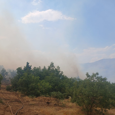 Malatya’da orman yangını