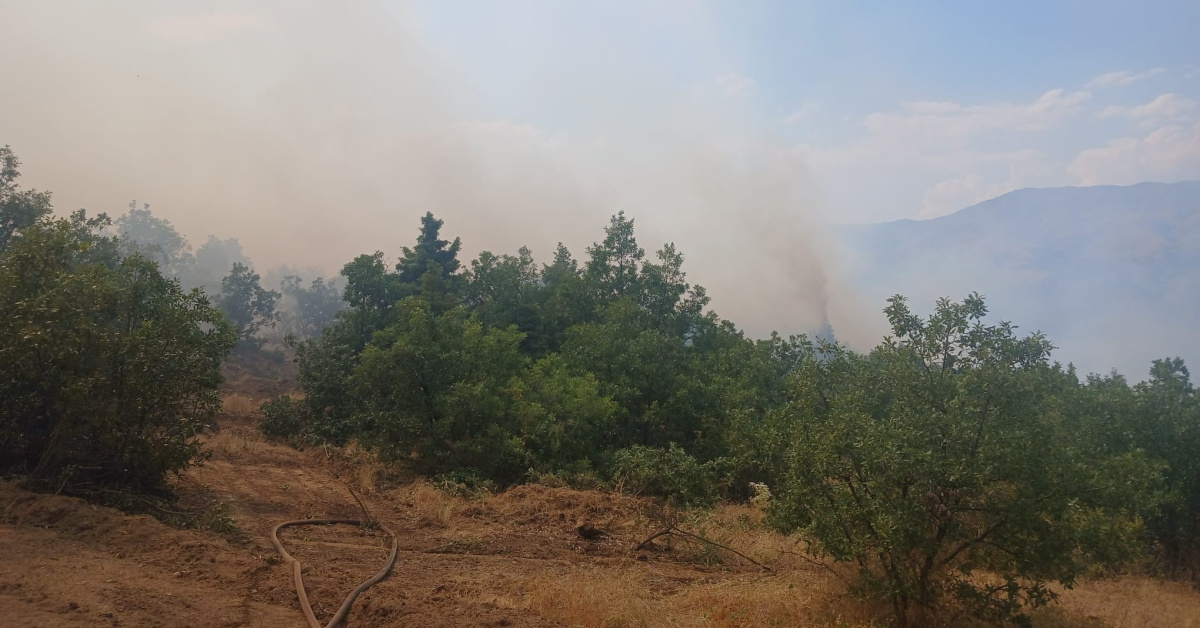 Malatya'nın Pütürge ilçesinde çıkan orman yangınına ekiplerin müdahalesi sürüyor