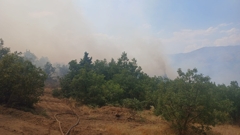 Malatya'da orman yangını