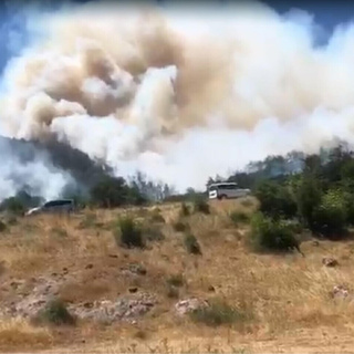 Balıkesir'de orman yangını!