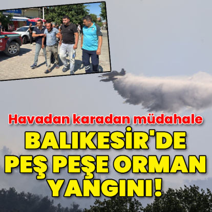 Balıkesir'de orman yangını!