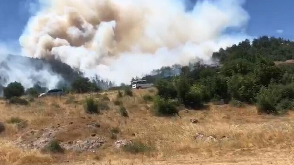 Balıkesir'de orman yangını!