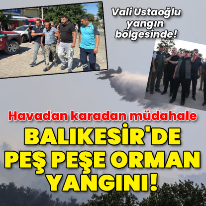 Balıkesir'de orman yangını!
